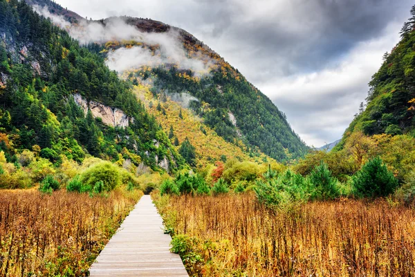 Wooden boardwalk leading to mountains, Jiuzhaigou National Park — Zdjęcie stockowe