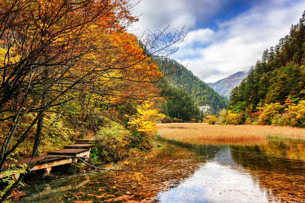 Paisagem com água cristalina de lago entre florestas de outono — Fotografia de Stock