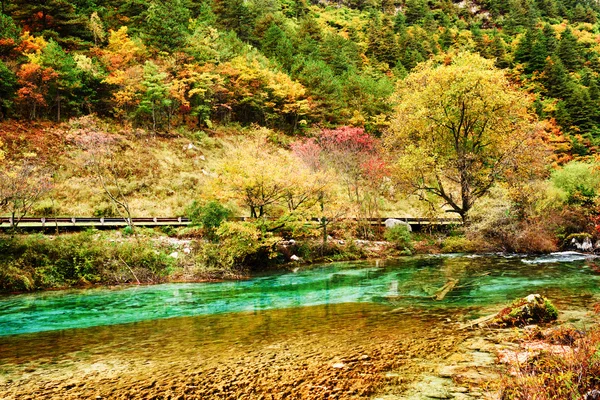 Όμορφο τοπίο με το φθινοπωρινό δάσος και το γαλάζιο νερό — Φωτογραφία Αρχείου