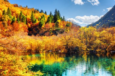 Sonbahar ormanı zümrüt kristal su ile gölet yansıyan