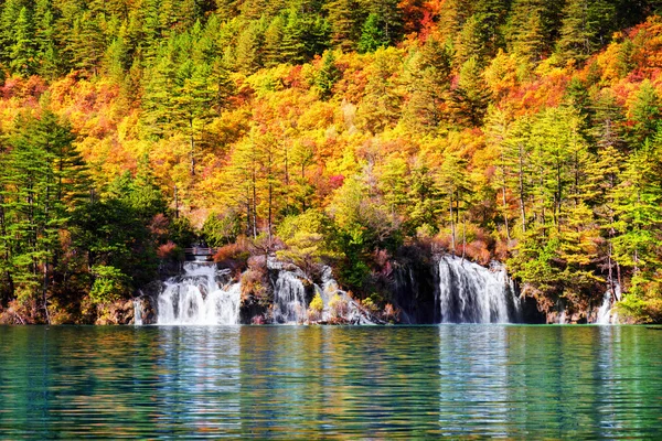 Colourful Forest Waterfall Beautiful Scenery Stock Photo By