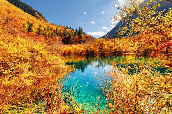 Floresta de outono refletida na bela lagoa com água azul — Fotografia de Stock
