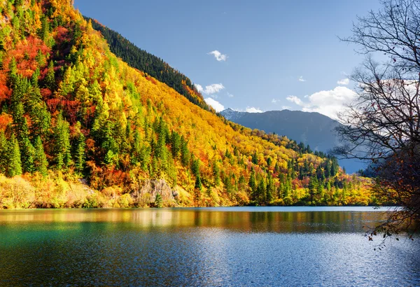 Increíble vista del lago Panda entre coloridos bosques de otoño — Foto de Stock