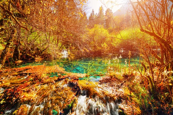 Amazing natural pond with emerald crystal clear water — Stock Photo, Image