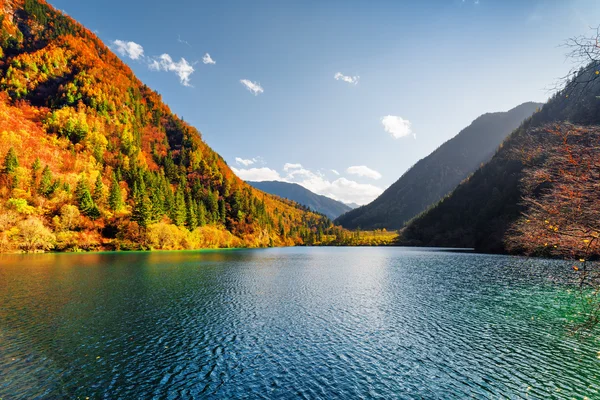 Schöne Aussicht auf den Panda-See inmitten des bunten Herbstwaldes — Stockfoto