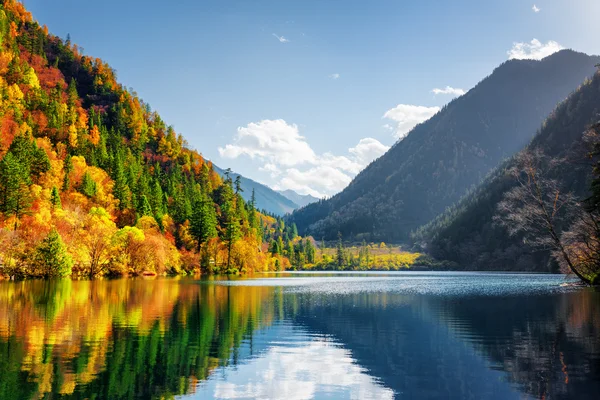 熊猫湖的美景。秋天的树林反射在水中 — 图库照片