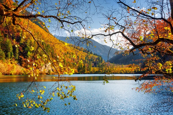Amazing view of the Panda Lake among colorful fall forest — Stock Photo, Image