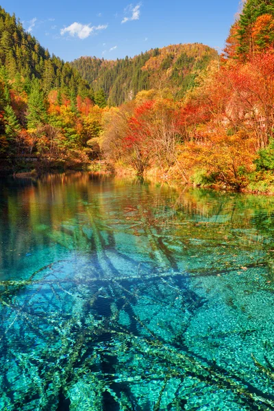 Vista panorâmica do Lago das Cinco Flores (lago multicolorido ) — Fotografia de Stock