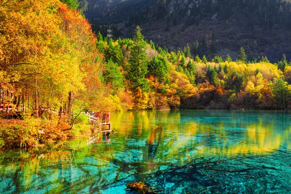 The Five Flower Lake (Multicolored Lake) among fall woods — Stock Photo, Image