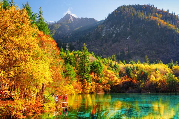 Der fünf Blütensee (bunter See) inmitten herbstlicher Wälder — Stockfoto