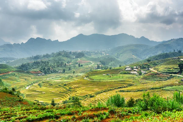Vista panorámica de las terrazas de arroz verde en las tierras altas de Vietnam —  Fotos de Stock