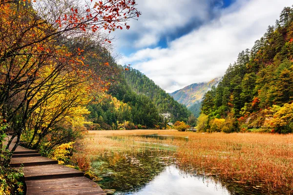 Boardwalk along lake with crystal clear water among fall woods — Stock Photo, Image