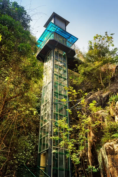 Cam kule yeşil ağaçların arasında. Orman manzaralı açık Asansör — Stok fotoğraf