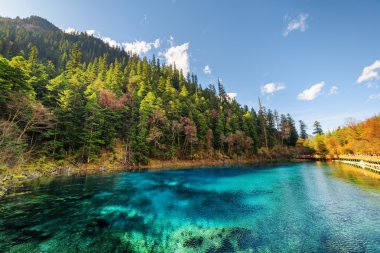 Sonbahar ormanları arasında masmavi su ile Beş Renkli Havuz