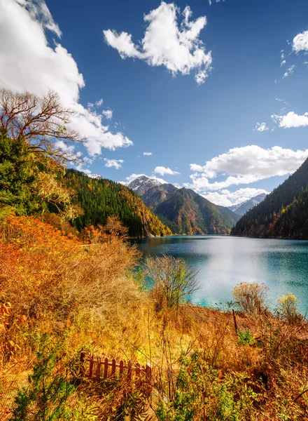 Atemberaubende Aussicht auf den langen See inmitten von Wäldern und Bergen — Stockfoto