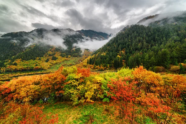 Bela vista das montanhas no nevoeiro e floresta de queda colorida — Fotografia de Stock