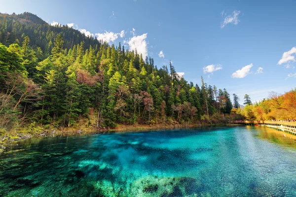 Der fünffarbige Pool mit azurblauem Wasser inmitten herbstlicher Wälder — Stockfoto