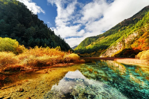 Erstaunlich kristallklares Flusswasser inmitten der Berge im Herbst — Stockfoto