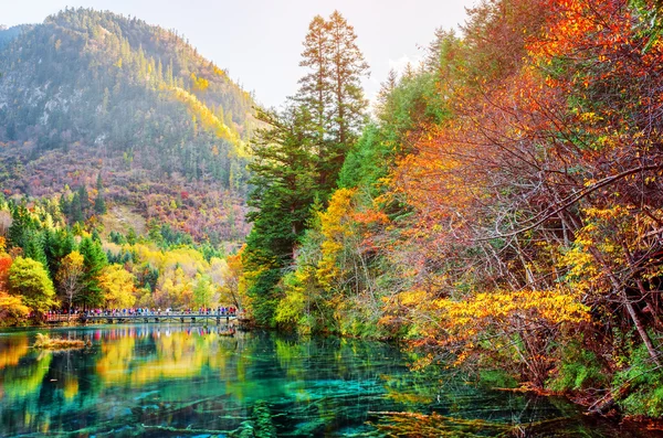 Hermosa vista del lago de las Cinco Flores entre pintorescos bosques de otoño — Foto de Stock