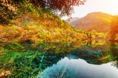 Wonderful view of the Five Flower Lake among scenic fall woods