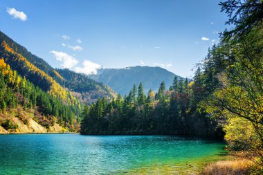 Masmavi su ile Ok Bambu Gölü Manzara görünümü