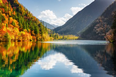 Scenic view of the Panda Lake. Autumn forest reflected in water clipart