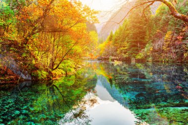 The Five Flower Lake. Colorful fall woods reflected in water clipart