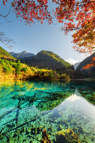 Vista panorámica del lago de las Cinco Flores entre coloridos bosques de otoño — Foto de Stock