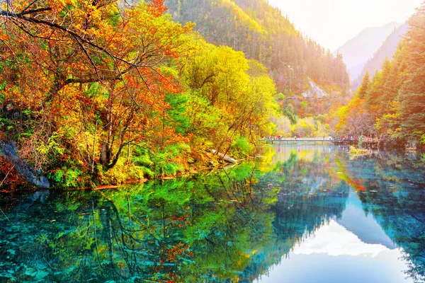 Die fünf Blütenseen. Herbstwälder spiegeln sich im Wasser — Stockfoto