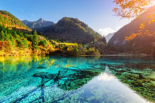 Farbenfrohe Wälder spiegeln sich im azurblauen Wasser des fünf Blütensees — Stockfoto