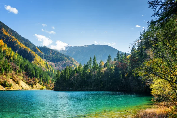 箭竹湖与蔚蓝水的风景 — 图库照片