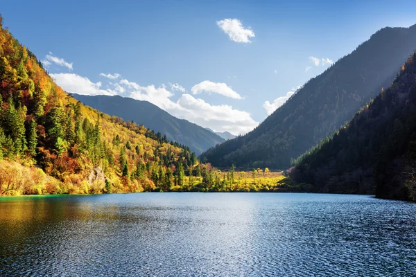 Scenic view of the Panda Lake among colorful fall forest — Stock Photo, Image