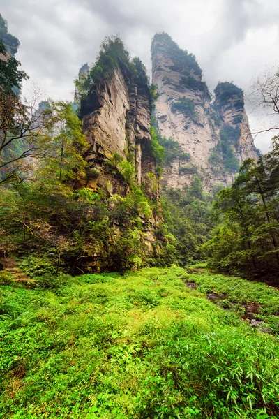 Blick von unten auf fantastische Felsen zwischen grünen Wäldern und Bächen — Stockfoto