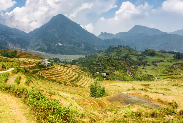 View of rice terraces in the Hoang Lien Mountains, Vietnam — Stock Photo, Image