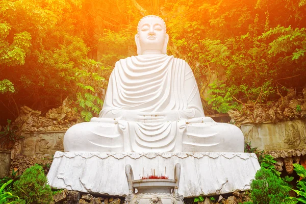 Majestuosa vista de la estatua de Buda entre árboles verdes. Imagen tonificada — Foto de Stock