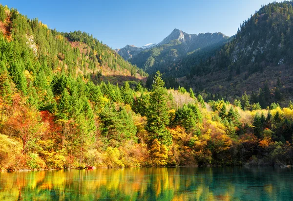 树木繁茂的山脉和五颜六色的秋林的壮丽景色 — 图库照片