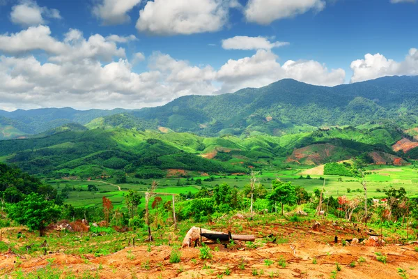 Bela vista de montanhas cênicas e campos de arroz verde brilhante — Fotografia de Stock