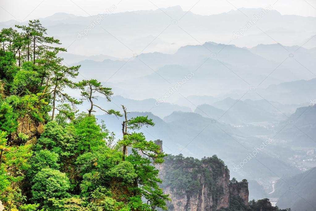 Wonderful view of trees growing on top of rock, Avatar Mountains
