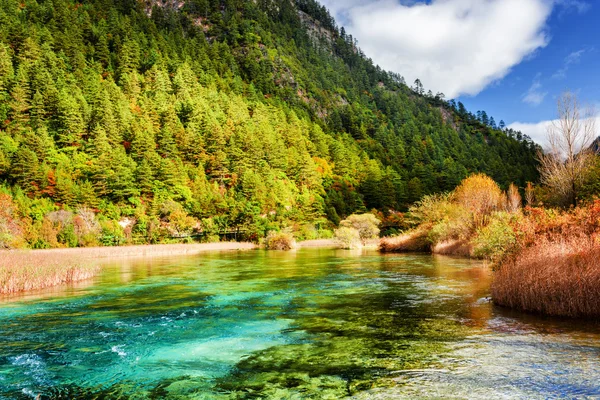 Río con agua cristalina azul entre bosques siempreverdes — Foto de Stock