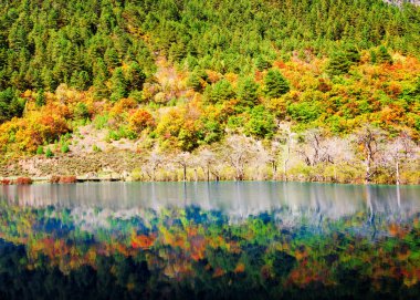 Rengarenk sonbahar ormanları göle yansıdı. Fantastik manzara