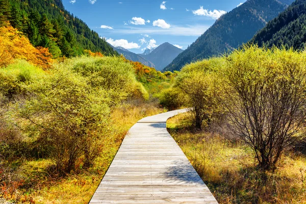 Wooden boardwalk across autumn forest among mountains — 图库照片