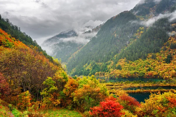 Vista incrível de montanhas em nevoeiro, floresta de queda colorida e lagos Imagens De Bancos De Imagens Sem Royalties