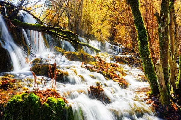 Sonbaharda ağaçların arasında kristal berraklığında su ile şaşırtıcı şelale — Stok fotoğraf