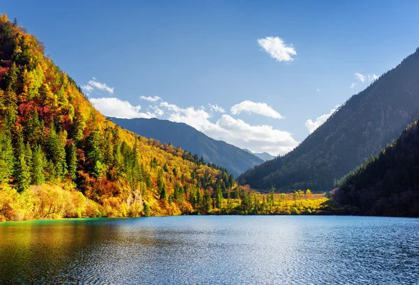 Vista panorâmica do Lago Panda entre bosques coloridos de outono — Fotografia de Stock