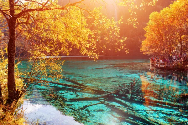 Piękny widok na jezioro kwiat pięciu (jezioro Multicolored) — Zdjęcie stockowe