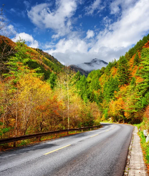 Piegare la strada tra i boschi colorati autunno. Paesaggio autunnale — Foto Stock