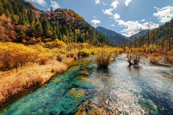 Río escénico con agua cristalina entre bosques de otoño y montañas — Foto de Stock