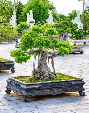 Danang 'da (Da Nang) Linh Ung Pagoda' nın avlusunda yetişen yeşil Bonsai ağaçları. Da Nang Asya 'nın popüler bir turizm merkezidir..