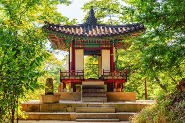 Güney Kore, Seul 'deki Changdeokgung Sarayı' nın Huwon Gizli Bahçesi 'nin renkli manzarası. Geleneksel Kore saray mimarisi. Bahçe Asya 'nın popüler bir turistik merkezidir..