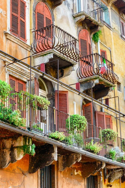 이탈리아 베로나에 화분에 로장식된 아름다운 발코니 베로나는 유럽의 인기있는 관광지 — 스톡 사진